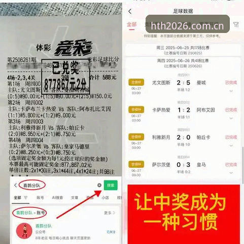 新手必看：HTH体育官网使用心得，资深用户教你判断平台可靠性
